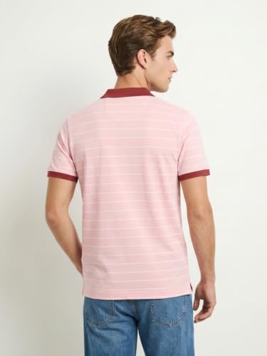Image of Park Avenue Men Slim Fit Stripe Pattern Pure Cotton Polo Neck Half Sleeve Casual T-Shirt