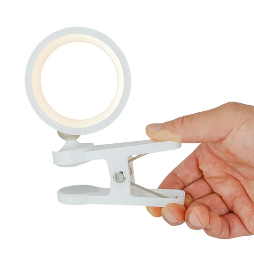 FlukeForest LEDNbvCg, USB Type-C[d, 3iKF, R[hX, }Olbgt, ^b`, fXNEAEghAp, zCg,FF-i30f (1)