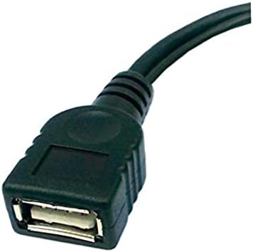 Adapter,TV2 Pack Adapter, TV Adapter Ethernet Adapter Fire TV Stick 4k Fire TV Stick USB Adapter USB Port Terminal Adapter Cable for Fire TV 3 or 2nd Generation Fire TV Stick - Black