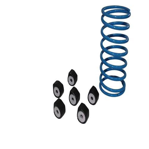 Image of Clutch Roller Set with Spring Access OM / BS6