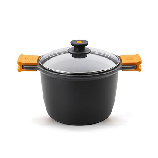 BRA Efficient-Olla Alta con Tapa de Cristal y Asas de Silicona, 11 litros, 28 cm, Apta para Todo Tipo de cocinas incluída inducción, Aluminio, Negro