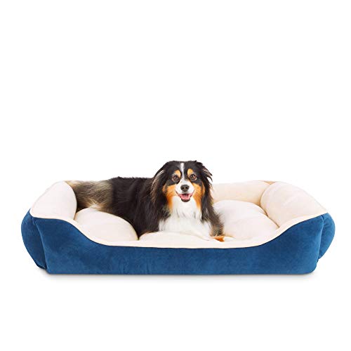 dog bed covers petco