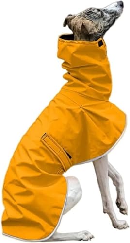 OCnEh ~pR[g h EBybg gt[X pWPbg ˃^[glbN qWPbg hR[g ^E^E^p EH[LO nCLO (S,CG[)