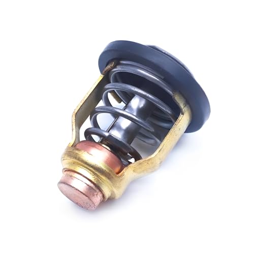 Thermostat 60E-12411-01-00 pour protéger votre moteur Yamaha 4 temps