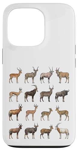 �A���e���[�v�̎�� ? �A���e���[�v��`���[�g�Ȋw���D�� �X�}�z�P�[�X iPhone 13 Pro �p