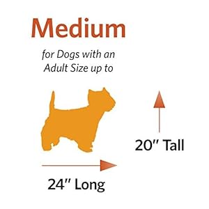   MidWest-Homes-for-Pets-Pet-Carrier-Dog-Bed-Pet-Bed-Fits-27-Inch-Plastic-Pet-Carriers-for-Small-Medium-Size-Dogs