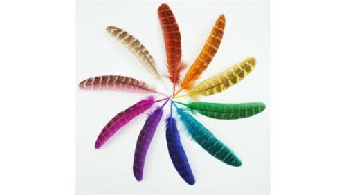 HoitoDeals 20Pcs Mixed Small Pheasant Feathers for Clothes Peacock Feather Natural Feathers for Crafts Wedding Carnaval Assesoires 10-15cm