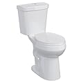 19 Inch Tall Toilet, Two-Piece ADA Round Bowl Toilet with Soft-Close Seat & Comfort Height, S-Trap, Powerful Siphon Jet Dual Flush (1.1/1.6GPF), 12" Rough-In for Bathrooms White