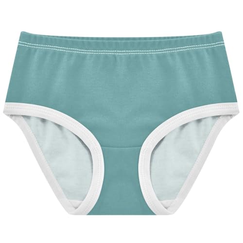 Joisal Cotton Toddler Girls Underwear Cadet Blue Panties for Girl Bright Briefs Girls Undies 2t