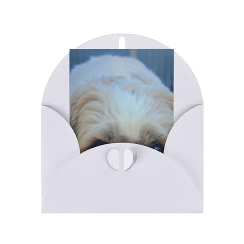 V[Y[  bZ[W^[J[h LOjvgJ[h White