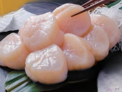 冷凍ほたて貝柱(生食用) 厳選のプレミアムサイズ 500g / CAS凍結/三陸 女川町