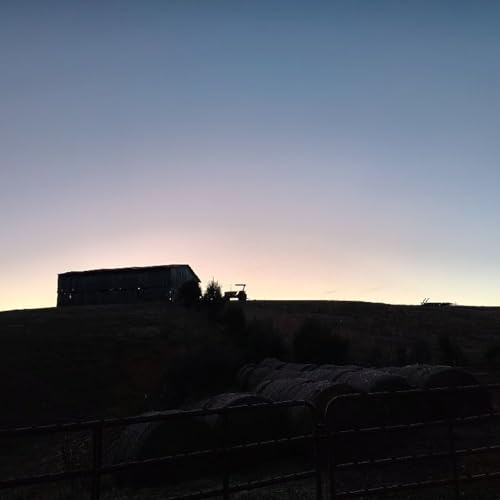 Holly Springs FWB AM service (Stay on the Wall)