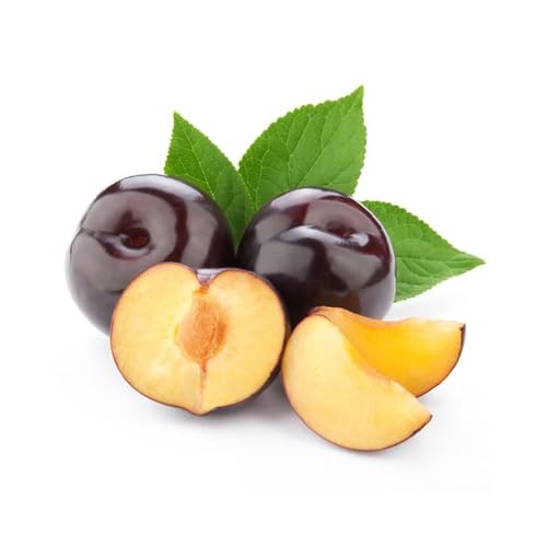 Genérico, Muda de Ameixa Rubimel 50 a 80cm AMK - Plantas Online