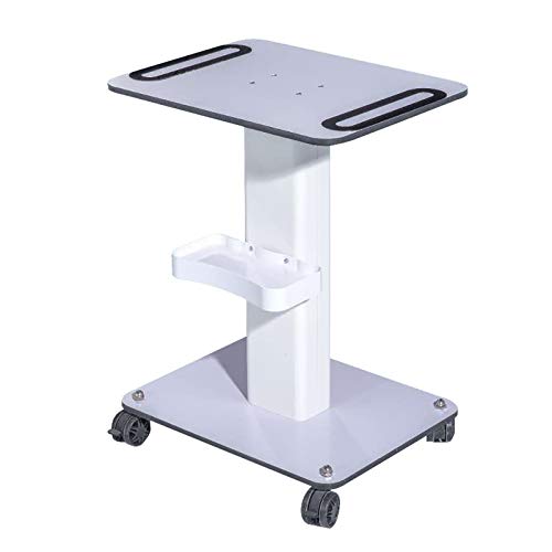 Esthetician Trolley Cart with Wheels Salon Spa Beauty Machine Trolley Stand Beauty Rolling Cart Mobile Storage Cart for Beauty Instrument Storage Load 88lbs, 20.47X15.75X27.17 inch