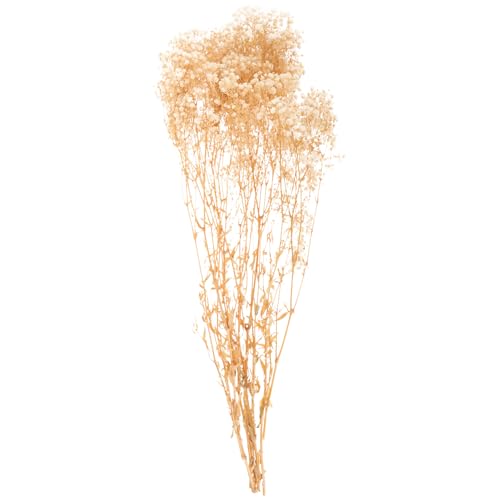Ramo decorativo de flores secas Gypsophila blanco miniatura 1