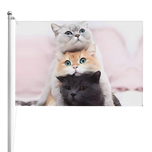 Drapeau chat double imprimé résistant aux UV pour bannière de vacances