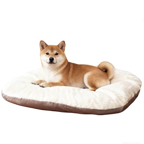 Lifetips ČiShiba Inuj ybgxbh  L \t@ NbV 􂦂Jo[ h  ӂӂ 傫 I[V[Y ~ y ϋv ᔽ ʋC  R hL h_j ې OȒP p 