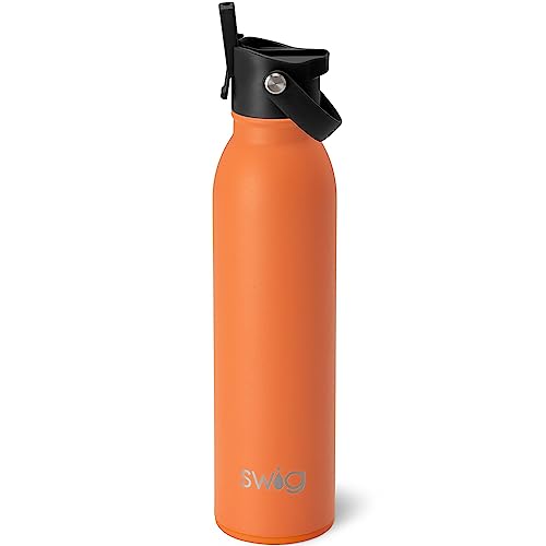 Swig Life Botella de agua aislada de 20 onzas con pajita y tirón + asa de sorbo | A prueba de fugas, apta para lavavajillas, apto para tazas, botella de agua de acero inoxidable