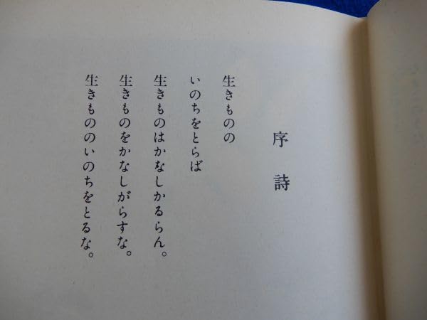 海の童話」恩地幸四郎 海の童話』 5 文化遺産オンライン