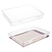 2 Pcs Clear Plastic Storage Boxes with Flap Lid, 12.2