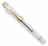 JINHAO 100 Fountain Pen with Ink Converter (Medium Nib 0.7mm, Transparent)