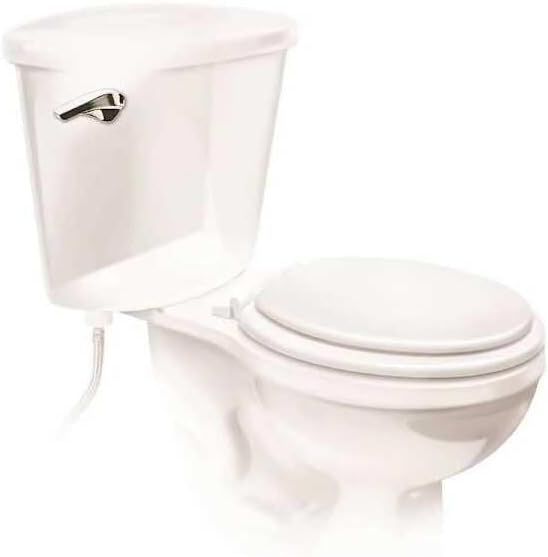 Fluidmaster B681P10 Universal Toilet Tank Lever in Chrome - pack of 10