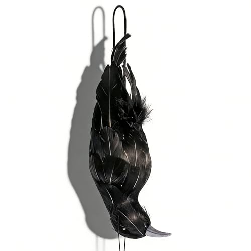 CYTGOUPER Realistic Hanging Dead Crow Decoys 12 Inch Large Lifesize Fake Crow Hunting Bait Black Feathered Crows Decoy Figuring for Garden Halloween Decor Birds Party Props