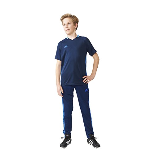 adidas Youth Soccer Condivo 16 Pants2