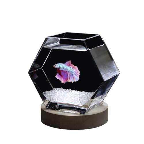 SIzlahoNGCeBu܊p`AMыAfXNgbvԕrAyʃx[XtۃKXe KXAk͔|pZbg (17*8.5*15cm+x[X+)