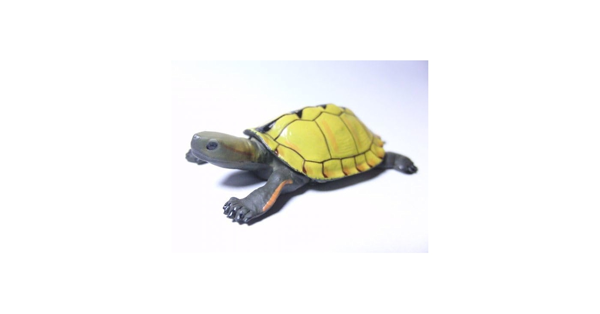 Amazon.co.jp: Japanese Animals Vol. 3 074 Japanese Sea