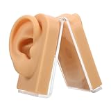 IWOWHERO Realistisches Silikon ohrmodell mit Ständer Künstliches Menschliches Ohr für Piercing übungen Geeignet für Otolaryngologen und Schmuckpräsentation Hautfarbenes Trainingsmodell