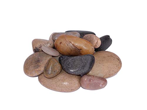 Exotic | Polished Mixed Pebbles | 20 Pound Bag | 3/4-1 1/4 Inch Pebble Size | Perfect for Landscaping, Flower Arrangements and Potted Plants