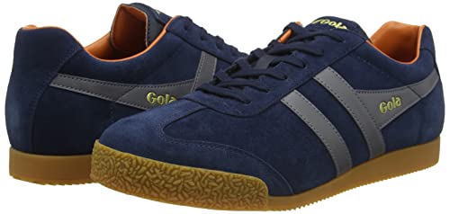 Image of Gola Harrier