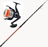 Canna Pesca surfcasting STORIONE SILURO SPIGOLA ORATA scogliera + Mulinello Mare