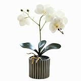 Planta de Orquídeas Artificiales de Altura Realista Orquídea Artificial en Una maceta Toque Real Bonsai Flores Falsas...