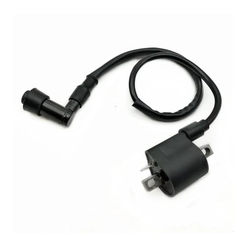 Bobina de encendido para moto, ideal para rutas exigentes en ATV 2