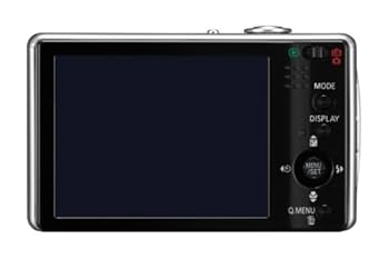 Panasonic Lumix DMC-FX500 Digital Camera 10 Megapixel 5x