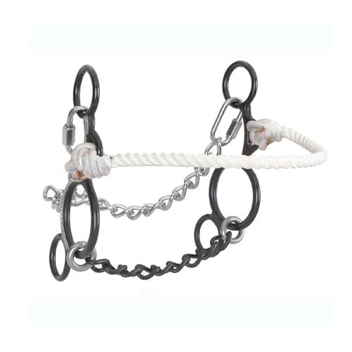 Circle Y Martha Josey Start-to-Finish 5