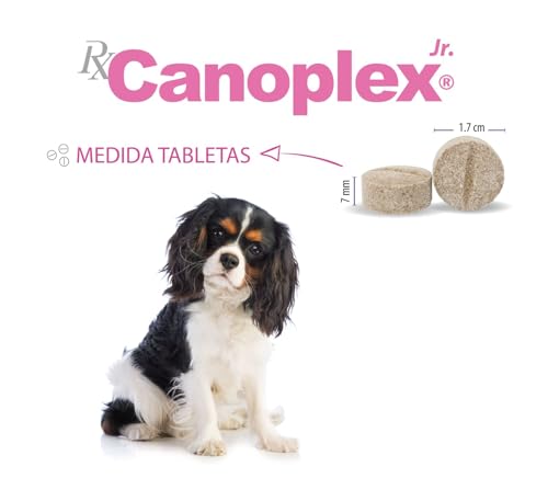 Vitamínicos, omega 3 acido folico vitaminas y minerales Marca Holland (3)