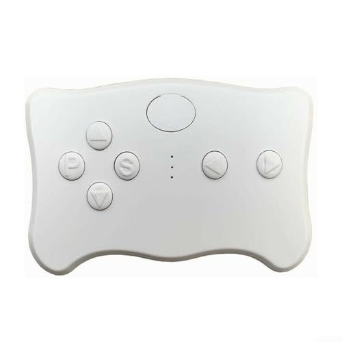 Ein komplettes Paket von WEELYE RX23 Kombination aus Controller und Empfangseinheit, entwickelt zur Verbesserung der Spielzeit (Fernbedienung)