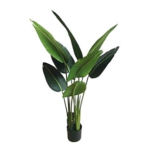 AMERIQUE Gorgeous 4 Feet Traveller ...