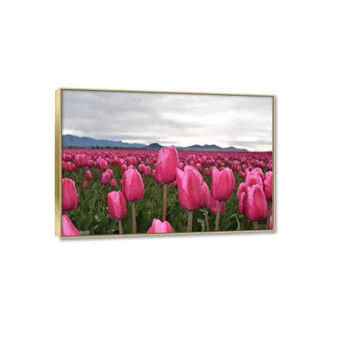 Affiches et impression nature sur toile pour salon moderne chic