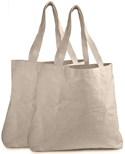 Reusable Grocery Canvas Bag - Shoulder Straps, Handles. (2-PACK | 19