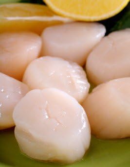 Fresh Sea Scallops, 2 Pounds