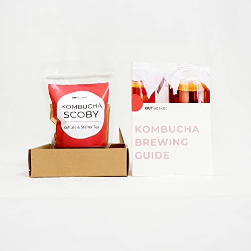 Gutbasket Kombucha SCOBY, Starter Liquid 250 ml with Instructions Booklet | Live Culture, Organic, Probiotic, No Vinegar, No Artificial Flavors | Make Kombucha Drink at Home