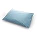 MediChoice Pillow, Reusable, Vinyl Ticking Cover, 24 Ounce, Polyester Fiber Fill, Blue, 20 Inch x 24 Inch (Case of 12)