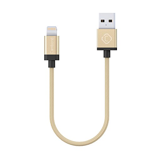 ASINNO 3215347 MP3 Player, 1', Solid Gold, 1 feet