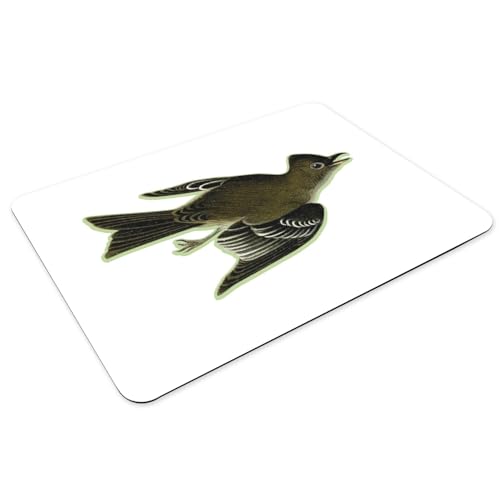 Sets de table oiseau planche botanique Sayornis caoutchouc grand format - 3