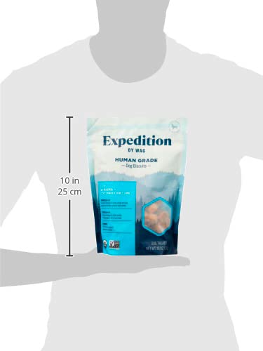 Image of Amazon Brand - Wag Expedition Human Grade Organic Biscuits Dog Treats, Non-GMO, Banana & Coconut, 10oz