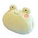 Cuscino invernale per bambini in peluche a forma di cartone animato, scaldamani per pisolino, debole eroe, classe 1, cuscino non elettrico, essenziale da viaggio, idea regalo (verde) immagine